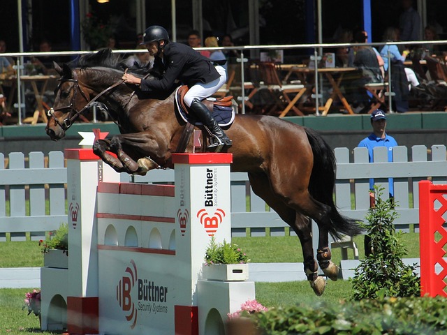 各国将在共 各国将在共