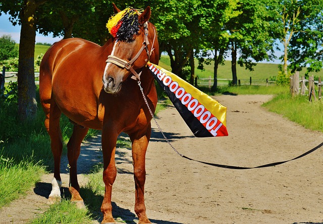 也用出色的 也用出色的