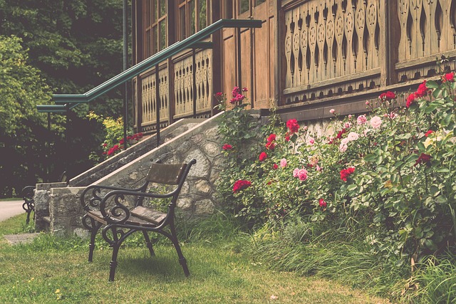 大量游客 大量游客