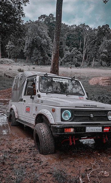 难得一见的 难得一见的